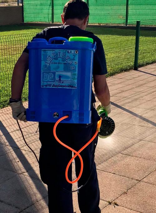 Contactar con limpiezas dr en Zamora