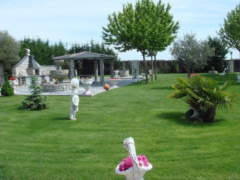 Imagen de jardín limpio