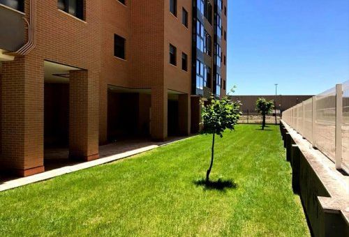 Limpieza y mantenimiento de jardines