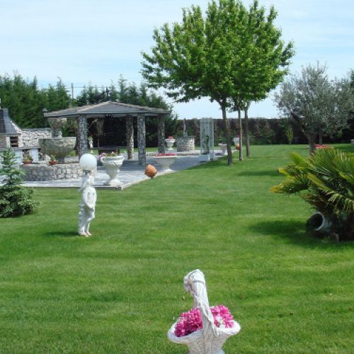 Imagen de jardín limpio